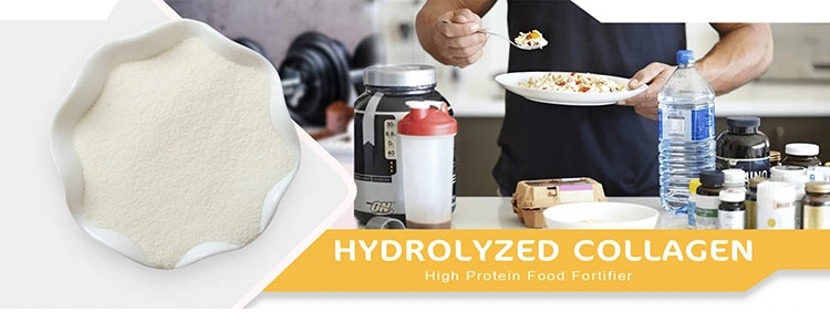 Animal Fish Skin Hydrolysate Collagen Protein Powder