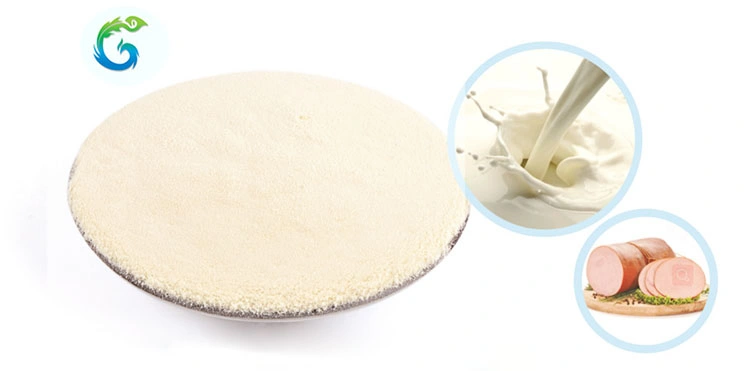 Animal Fish Skin Hydrolysate Collagen Protein Powder